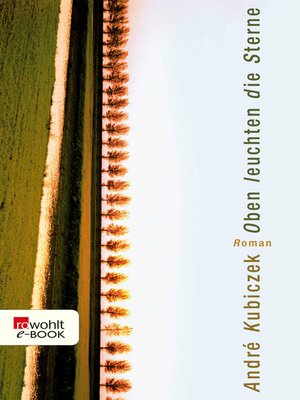 cover image of Oben leuchten die Sterne